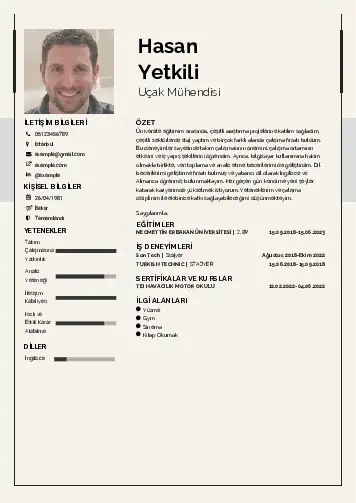 Havacılık Ve Uzay Uçak Mühendisi Cv Örnekleri cv indir